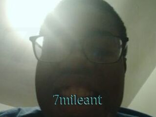 7mileant