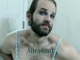 AlleyCatt