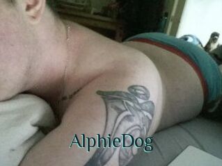 Alphie_Dog