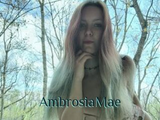 AmbrosiaMae