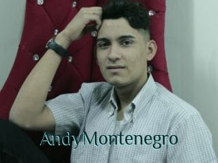 AndyMontenegro