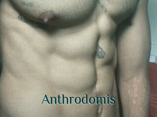 Anthrodomis