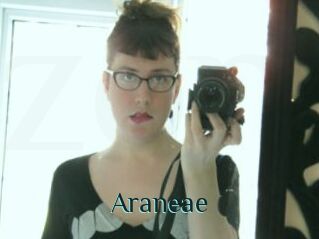 Araneae