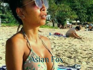Asian_Fox