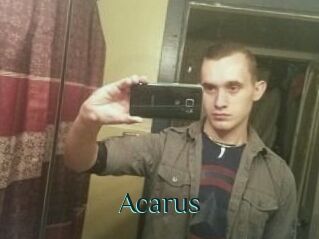 Acarus