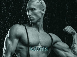 Adonis_