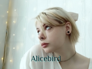 Alicebird