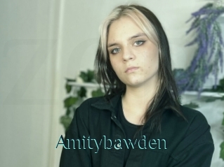 Amitybawden