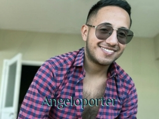 Angeloporter