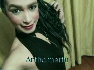 Antho_marin