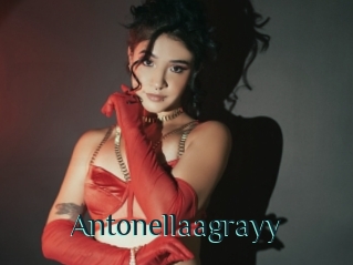 Antonellaagrayy