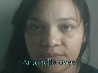 Antonellalovee