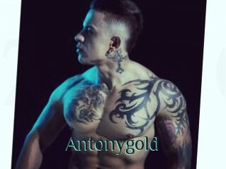 Antonygold
