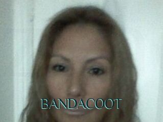 BANDACOOT