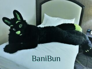 BaniBun