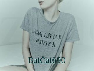 BatCat690