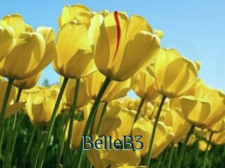BelleB3