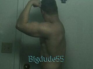 Bigdude55