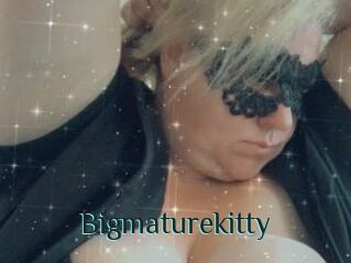 Bigmaturekitty