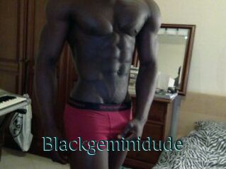 Blackgeminidude