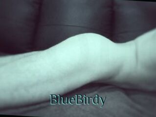 BlueBirdy