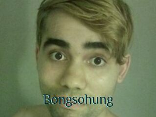 Bongsohung