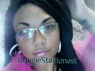 BougieStallionest