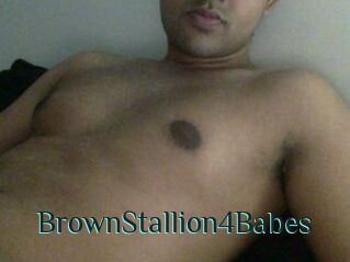 BrownStallion4Babes