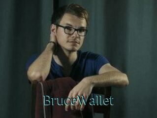 BruceWallet