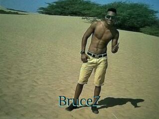 BruceZ