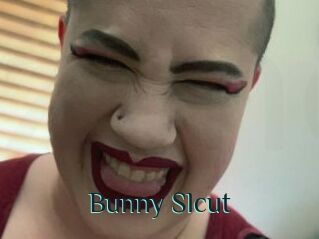Bunny_Slcut