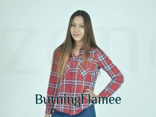 BurningFlamee