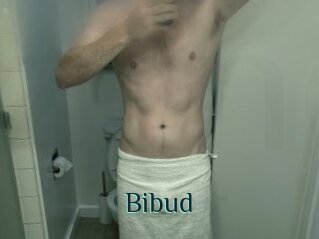 Bibud