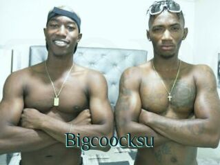 Bigcoocksu