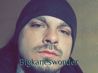 Bigkaneswonder
