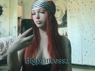 Bigprincessa