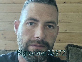 Bigrooster76872