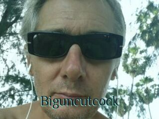 Biguncutcock