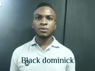 Black_dominick