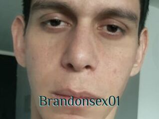 Brandonsex01