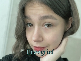 Breegrief
