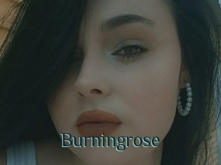 Burningrose