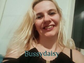 Bussydaisy