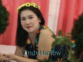CindyHarlow