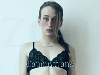 Cammytrans