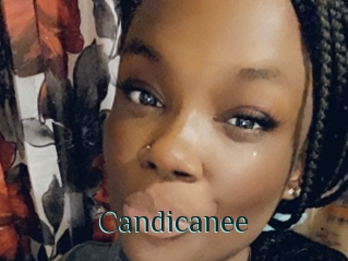 Candicanee