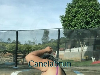 Canelabrun