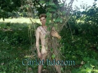Carlot_hdozom