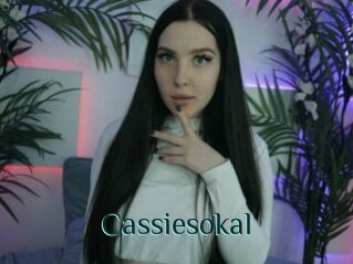 Cassiesokal