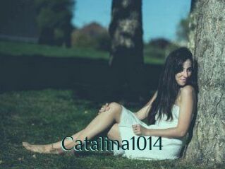 Catalina1014